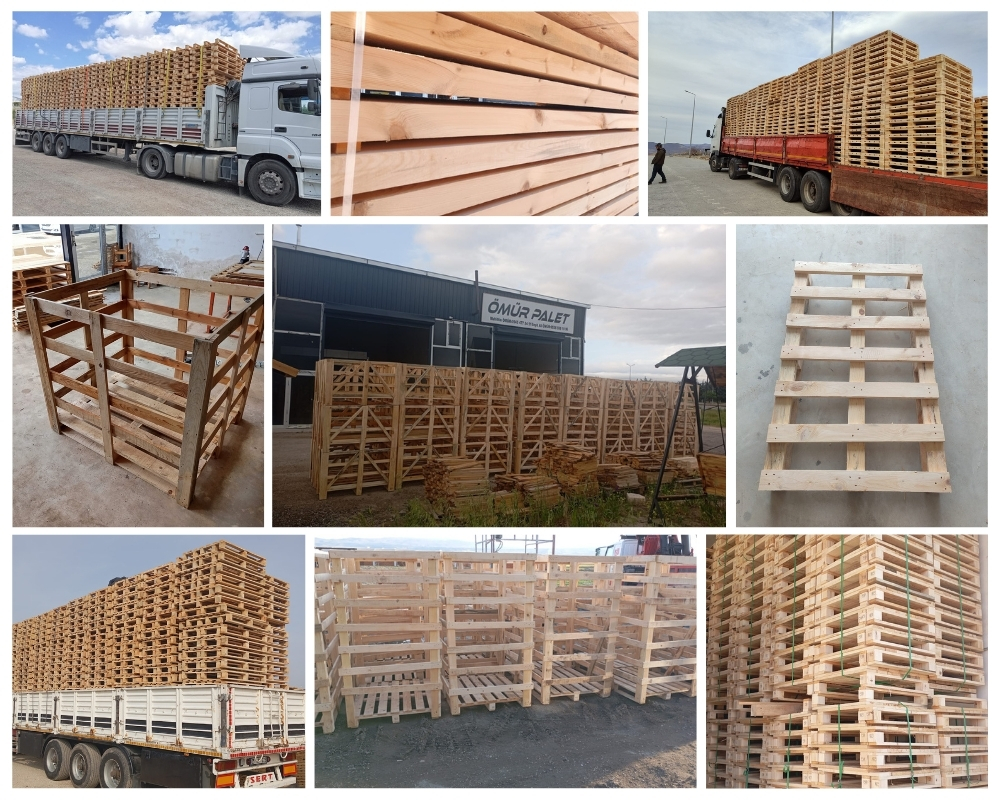Willesborough Wooden Pallets, Buy Wooden Pallets Wholesale